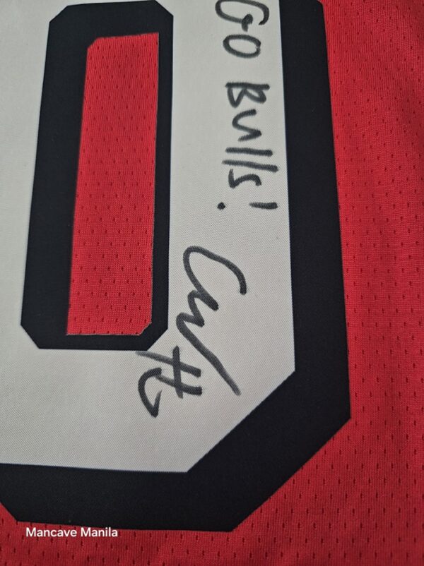 COBY White Signed Custom Swingman Jersey inscribed Go Bulls - Image 5